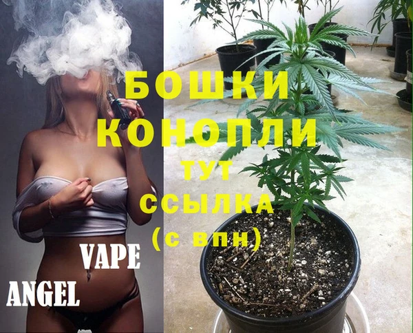 гидра Лиски
