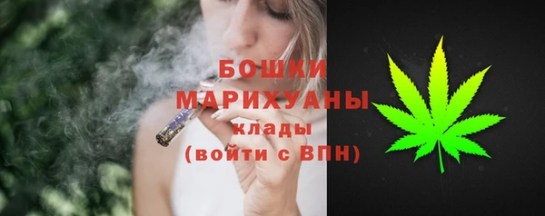 сатива Лихославль